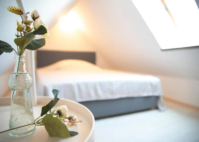 Up'n Spitzboehn Appartement Rubeland